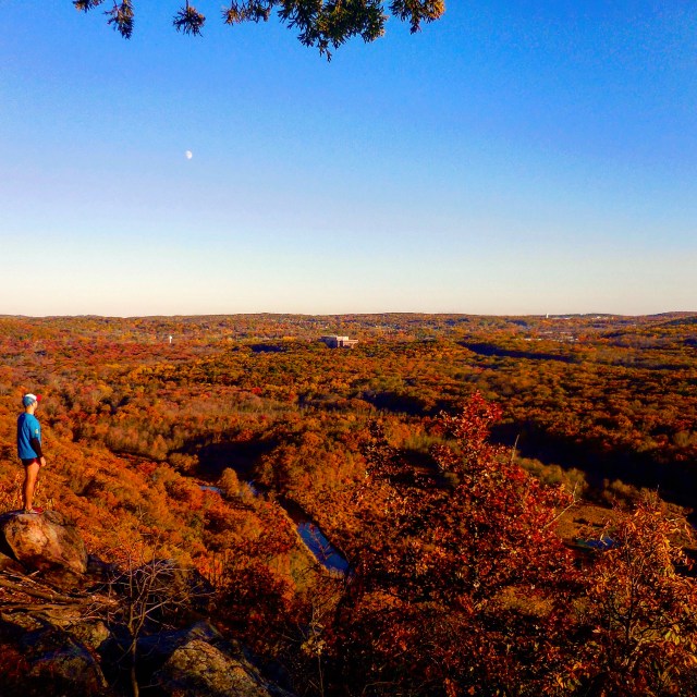 Allamuchy never fails to deliver